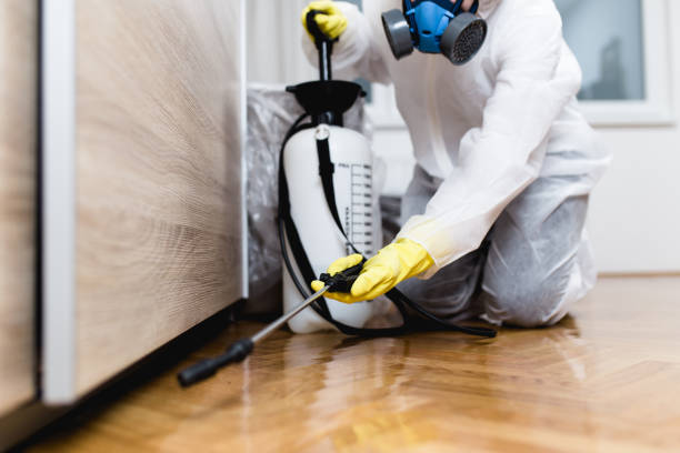 Best Affordable Pest Control Services  in Watertown, FL