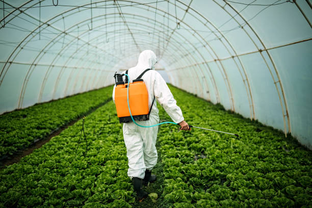 Best Best Pest Control Companies  in Watertown, FL