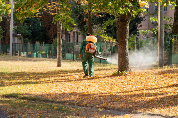 Best Commercial Pest Control Services  in Watertown, FL