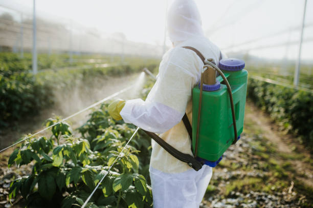 Professional Pest Control in Watertown, FL